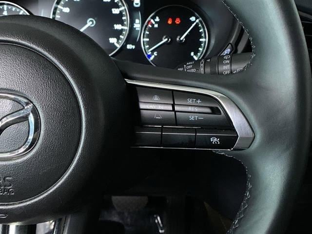 2024 Mazda Mazda CX-30 2.5 S Premium AWD